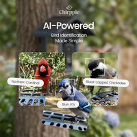 Blue Chirppie smart bird feeder with AI-powered bird identification (2 of 17)