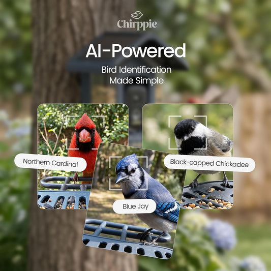 Chirppie Solar-Powered Smart Bird Feeder with Camera