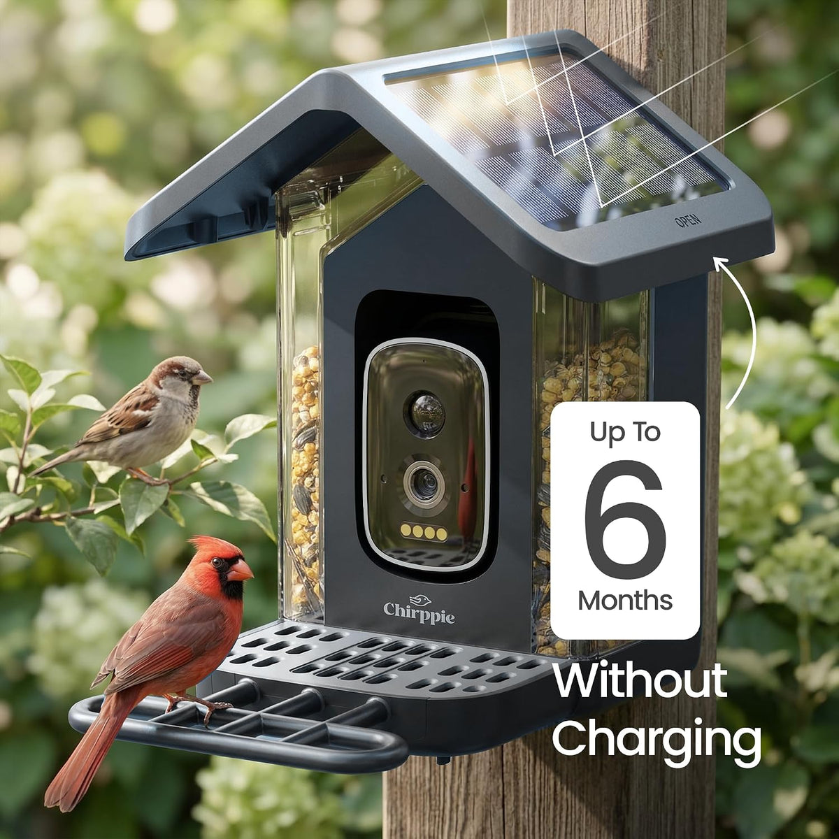 Blue Chirppie bird feeder solar roof charging, 6 months battery life