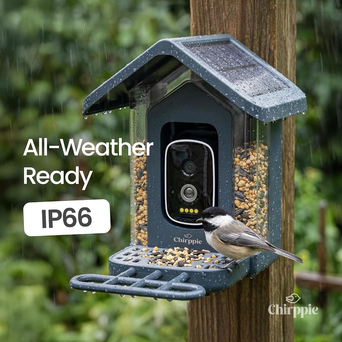 Blue Chirppie bird feeder in the rain, all-weather IP rated