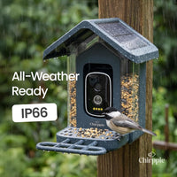 Blue Chirppie bird feeder in the rain, all-weather IP rated (6 of 17)