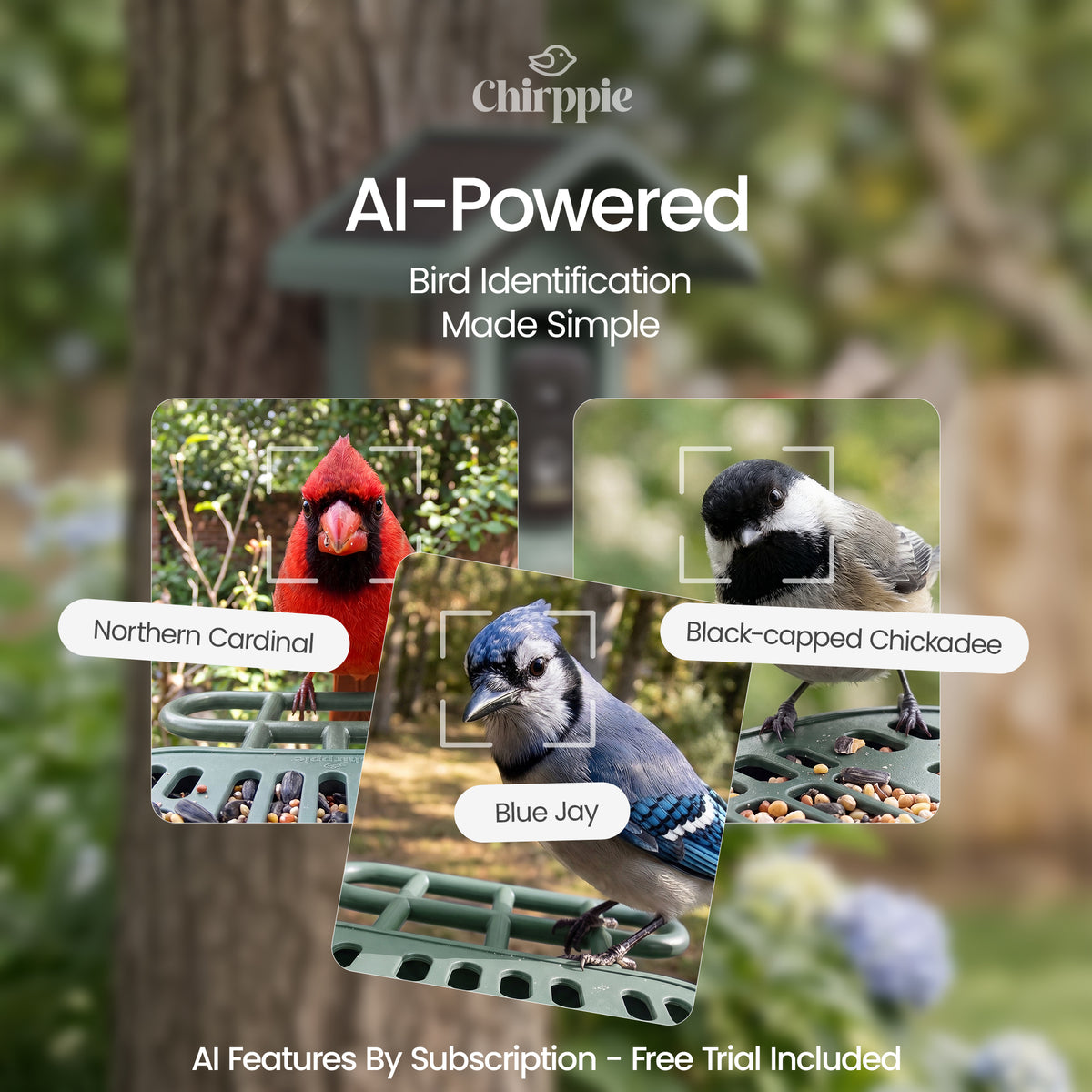 Chirppie green smart bird feeder with AI-powered bird identification