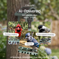 Chirppie green smart bird feeder with AI-powered bird identification (10 of 17)