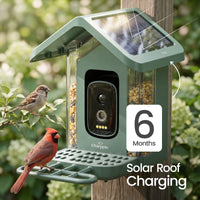 Green Chirppie bird feeder solar roof charging, 6 months battery life (12 of 17)