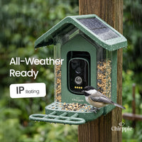 Green Chirppie bird feeder in the rain, all-weather IP rated (14 of 17)