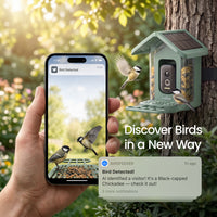 Phone app showing bird detected notification next to green Chirppie feeder (17 of 17)